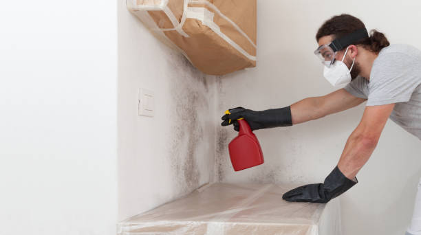 Professional Crawl Space Mold Removal technician working in McHenry, IL